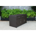 Latest Design PE Rattan Wicker Cabinet for Storage